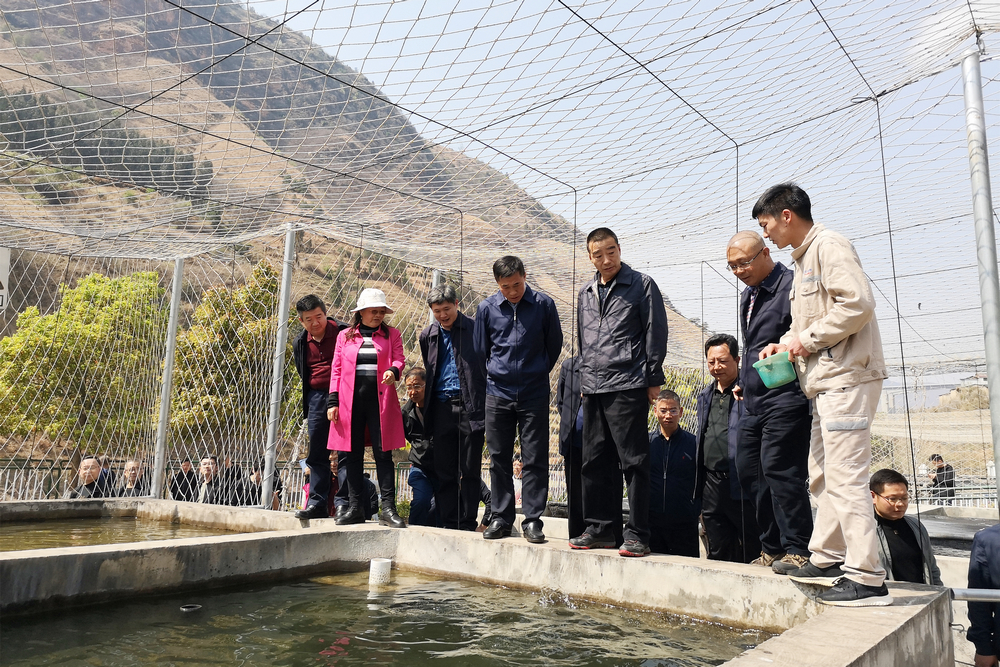 1616744746666045.jpg 羅世雄(前排左四)現(xiàn)場調(diào)研魚類增殖站1.jpg