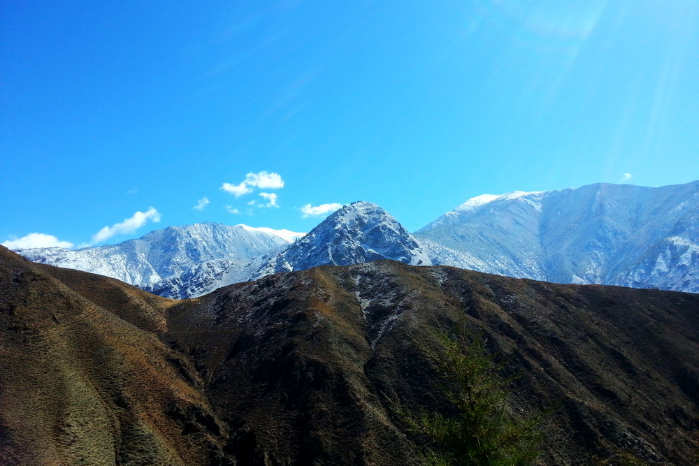 1617176776766309.jpg 高原藍 (4).jpg