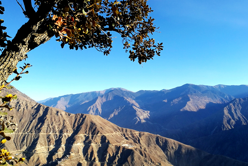 1617176830689110.jpg 高原藍 (5).jpg