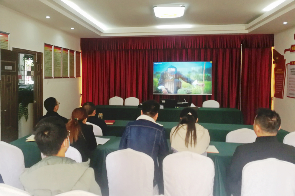 1635299489433760.jpg 觀看楊善洲電影.jpg