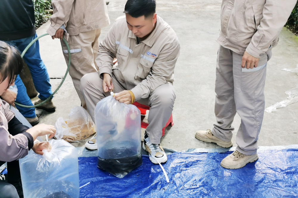 1636616690923935.jpg 放流魚苗裝袋.jpg