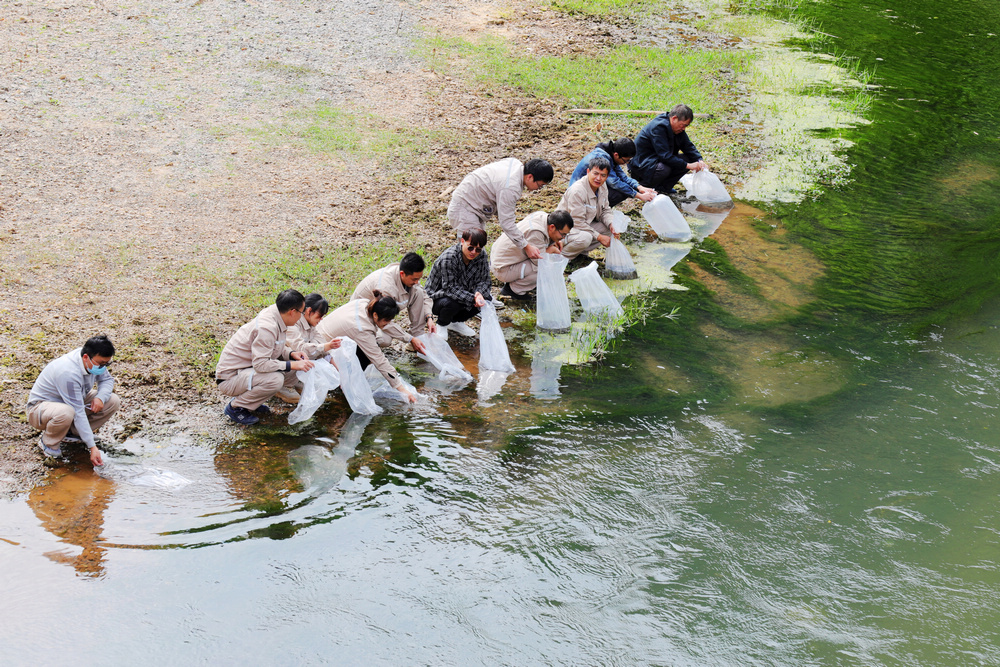 1636616750870059.jpg 德澤水庫下游牛欄江與小江河匯口處放流2.JPG