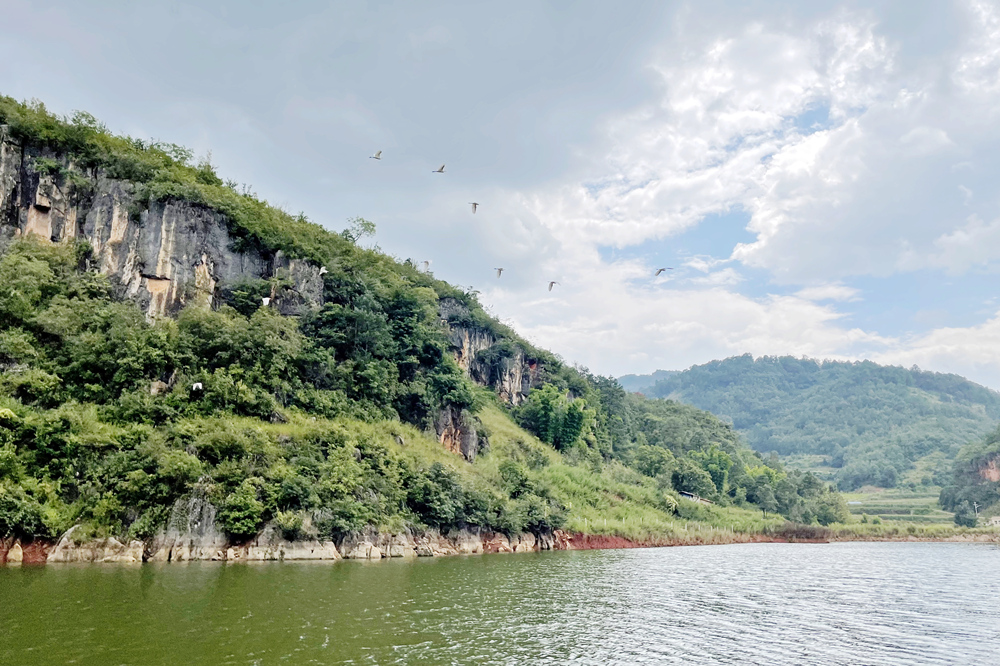 1636616800133781.jpg 1.jpg