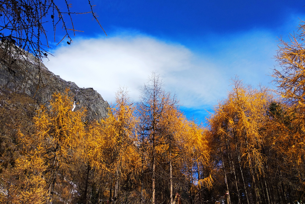 1639621146600035.jpg 《冬日光景》2冷玥 爨玉公司.jpg