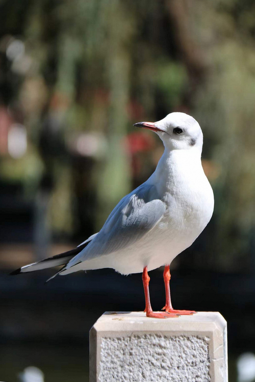 1641366853726290.jpg 5.jpg