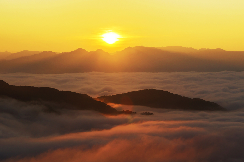 1647423015137314.jpg 攝影作品《晨曦》 爨玉公司-程秀梅調(diào)整小.jpg