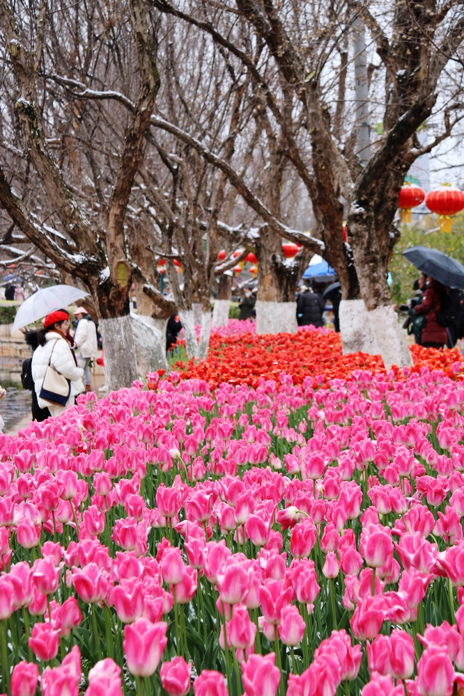 1647423714210339.jpg 微信圖片_20220225172522.jpg