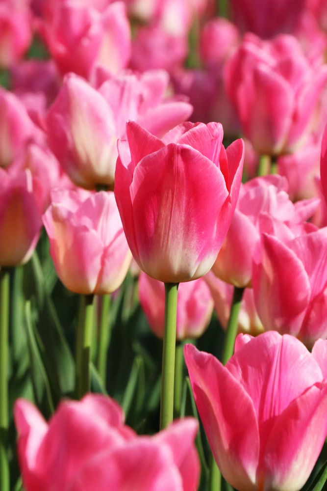 1647423753801596.jpg 微信圖片_20220225173036.jpg