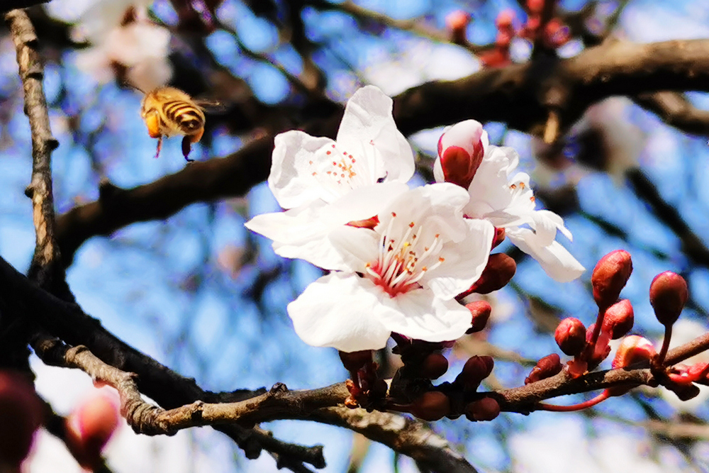 1647428299508334.jpg 3.jpg