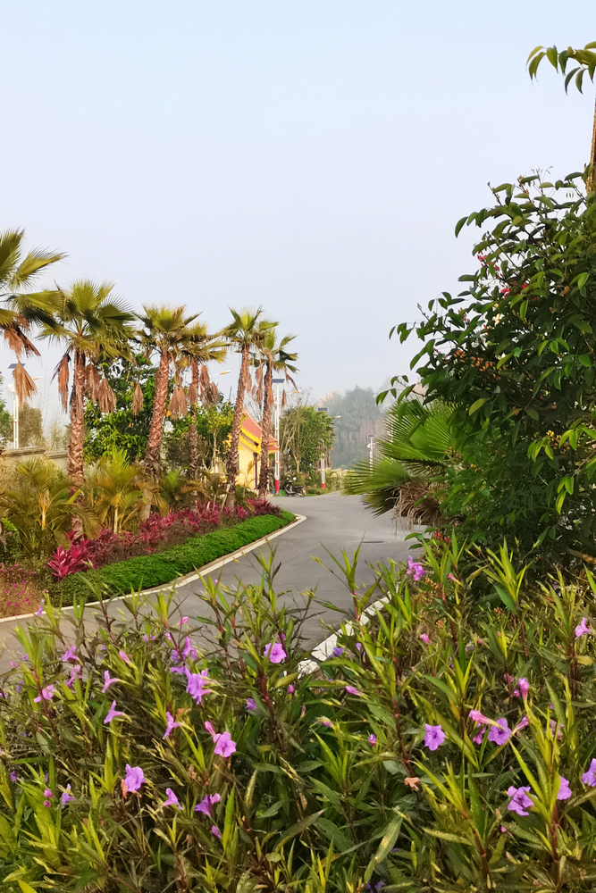 1648862192491767.jpg 【發(fā)現(xiàn)建設(shè)一線的春景】春意濃濃的勐遮水廠3- 水投公司 布圖.jpg