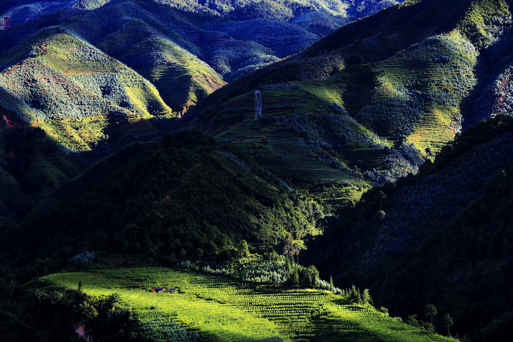 1656571302334744.jpg 照片 《江山多嬌》1 爨玉公司 程秀梅 - 副本.jpg