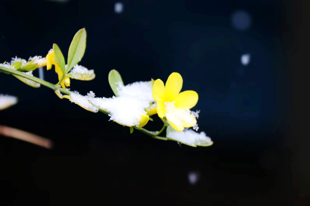 1657179993766998.jpg 【攝影】無名 作者:審計(jì)部 張咪.jpg