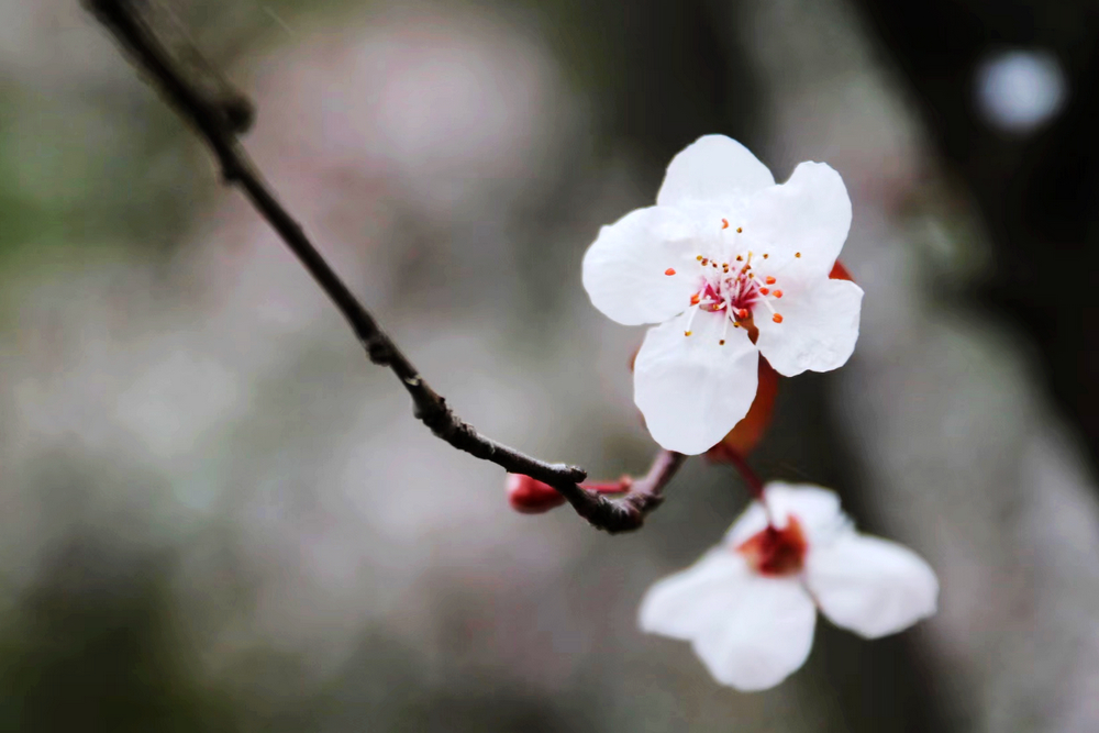 1657180006111392.jpg 【攝影】無名2 作者:審計(jì)部 張咪.jpg