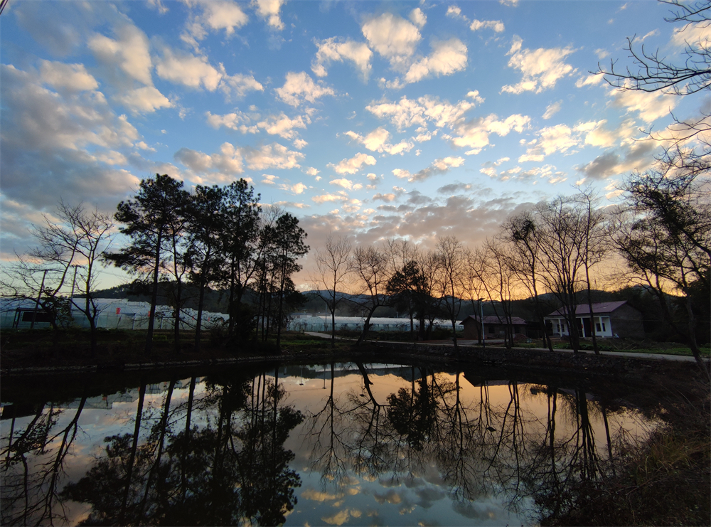 1658994268209435.jpg 101.jpg