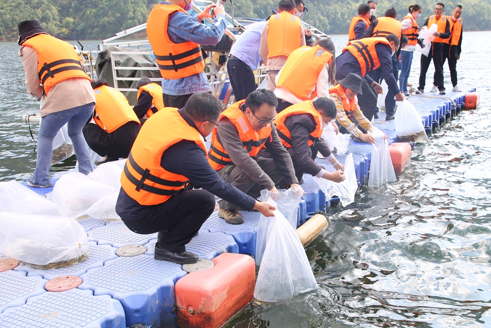 1667305933597797.jpg 增殖放流 (6)_副本.jpg